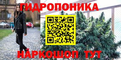 крисы Бузулук