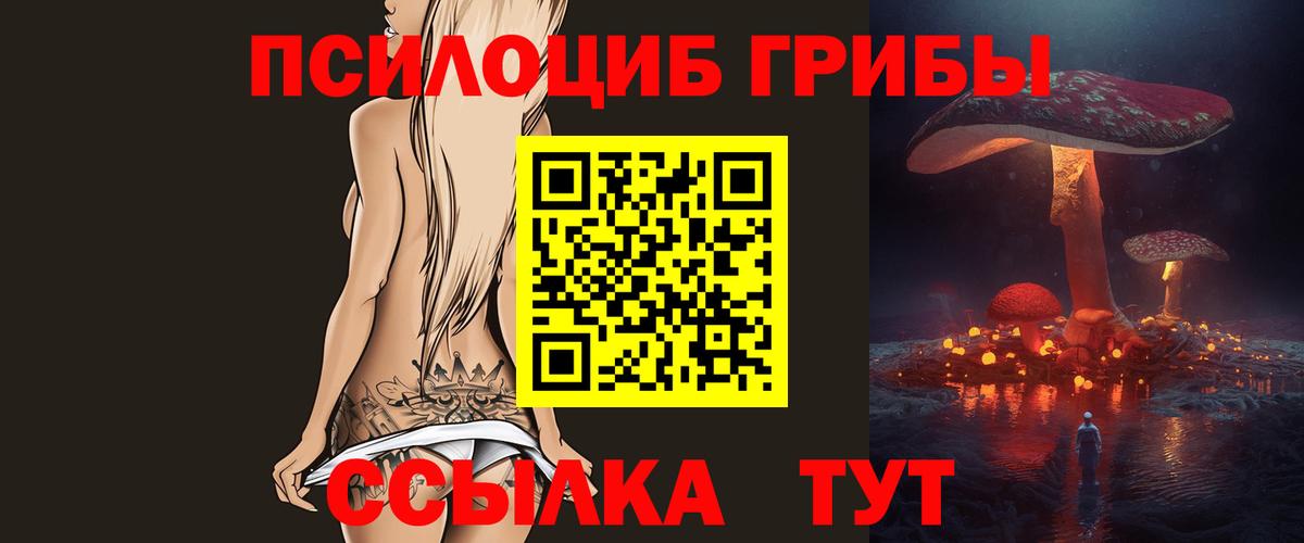 Псилоцибиновые грибы Magic Shrooms Петропавловск-Камчатский